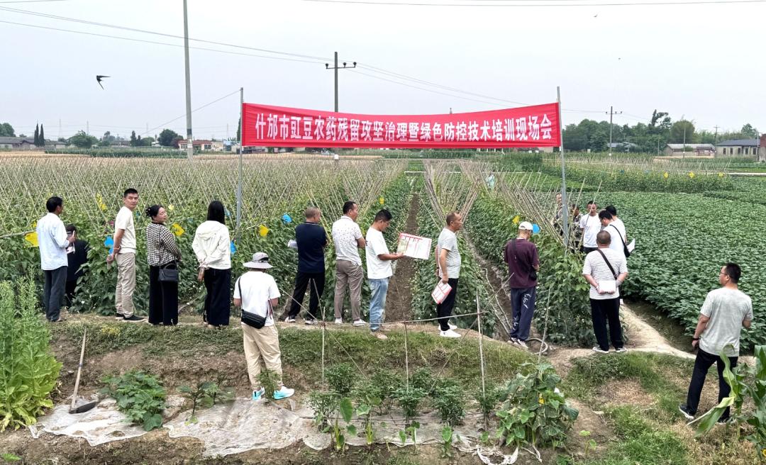 微信图片_20250514154357_副本.jpg