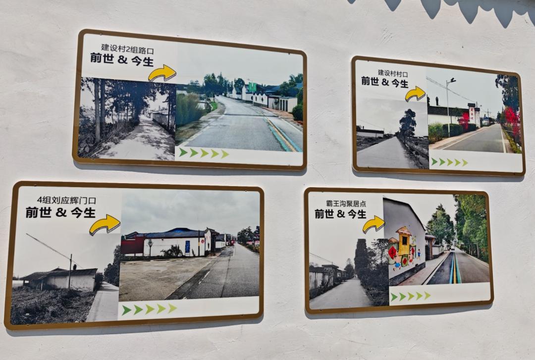 微信图片_20250612105950_副本.jpg