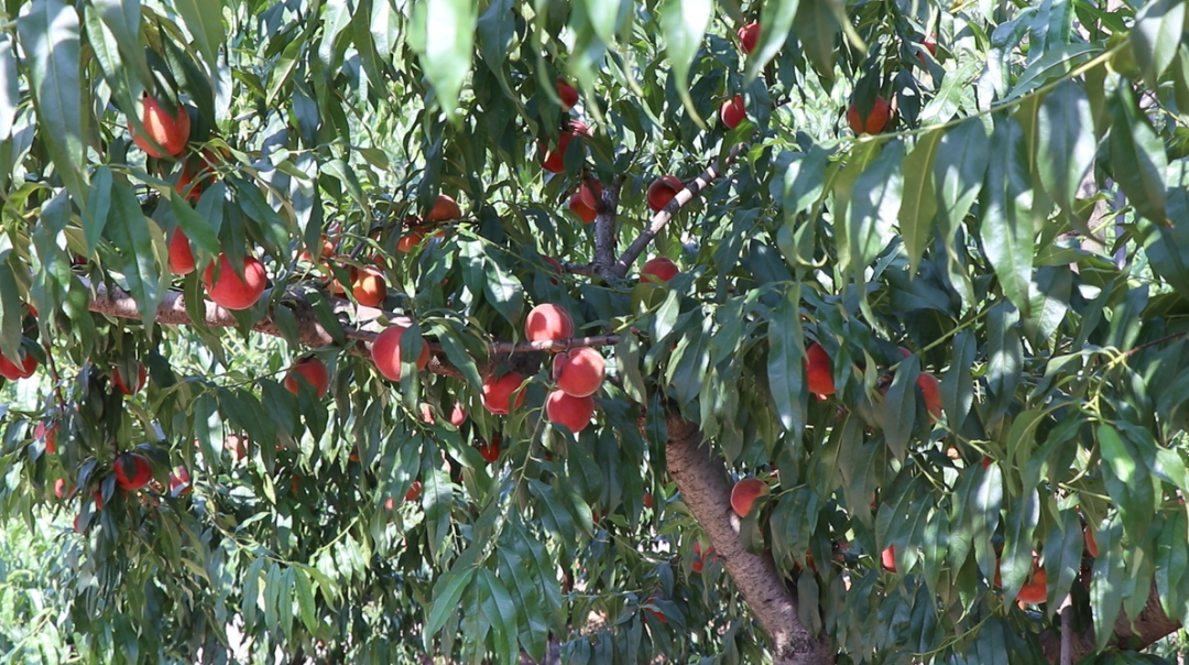 1749786371844607.png 微信图片_20250612171035.png