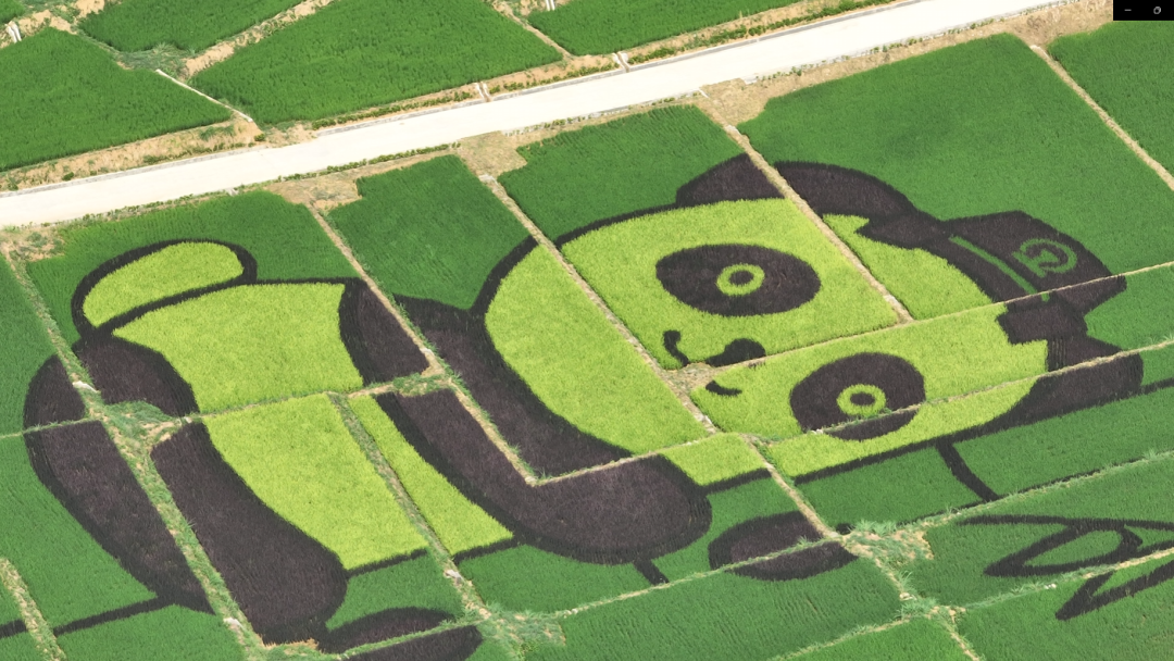 微信图片_20250723115047.png