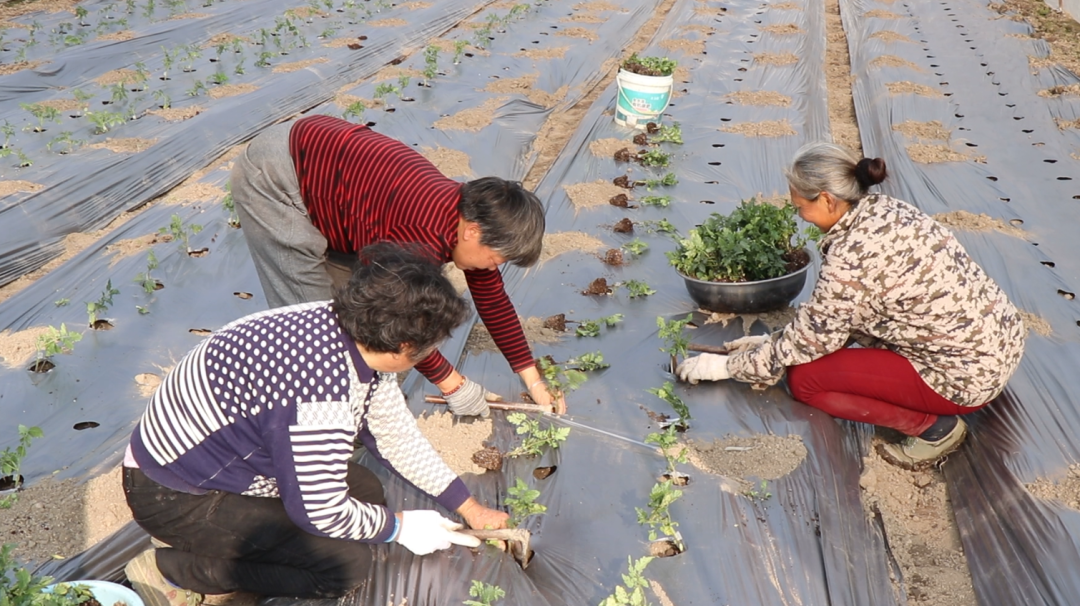 1765767619584936.png image.png